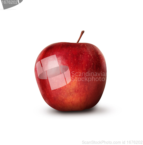 Image of red apple