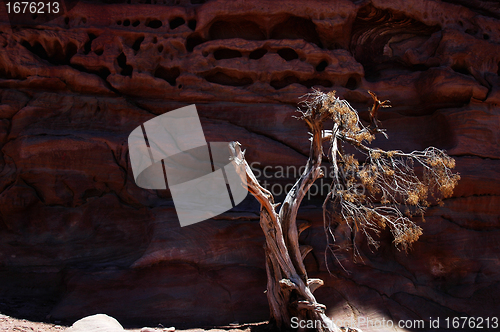 Image of Petra,Jordan