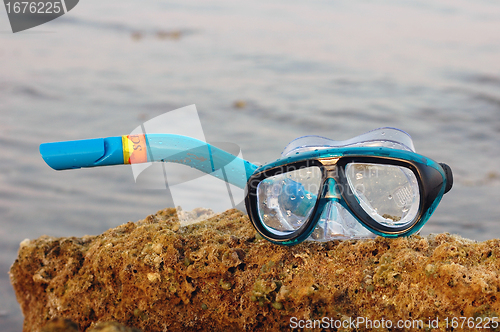 Image of Snorkeling equipment