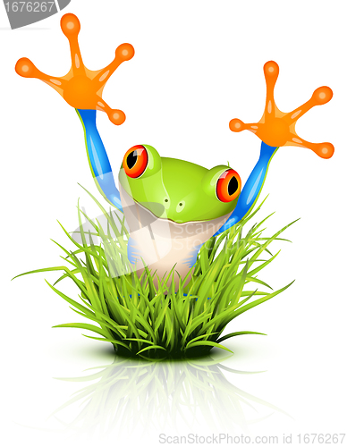 Image of Little tree frog on grass