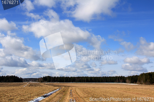 Image of Beautiful sky over spring fields