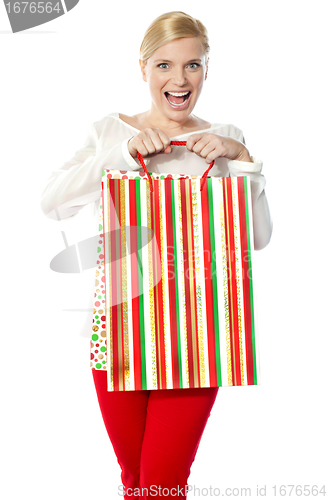 Image of Happy shopping woman holding bag