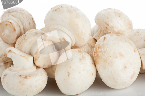 Image of White mushrooms