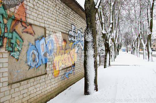 Image of Walls graffiti and snowy lime tree trunk in winter 