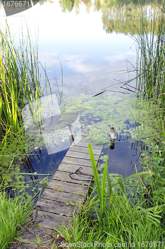 Image of small river bridge. natural green water flora. 