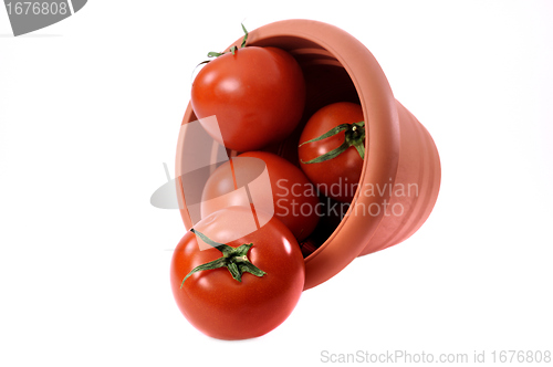 Image of Some tomatoes in plastic pail