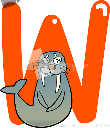 Image of W for walrus