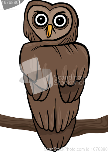 Image of owl