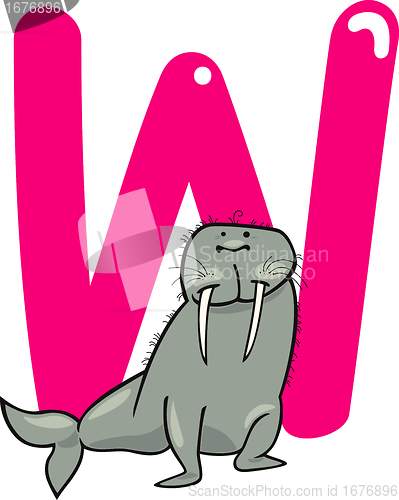 Image of W for walrus