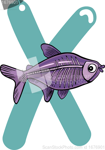 Image of X for x-ray fish