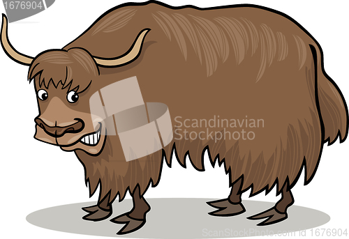 Image of Yak bull
