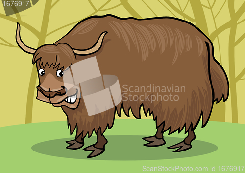 Image of Yak bull