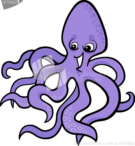 Image of octopus