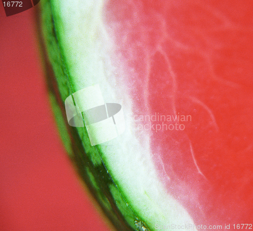 Image of Detail of a melon