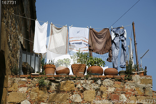 Image of Washing day with cat
