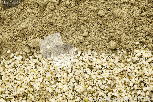 Image of hemp seeds and protein powder