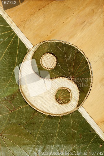Image of Ying-Yang