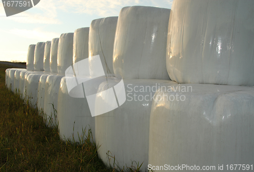 Image of Bales of hay