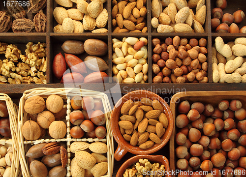 Image of Nut types