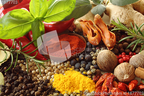 Image of Spices and herbs