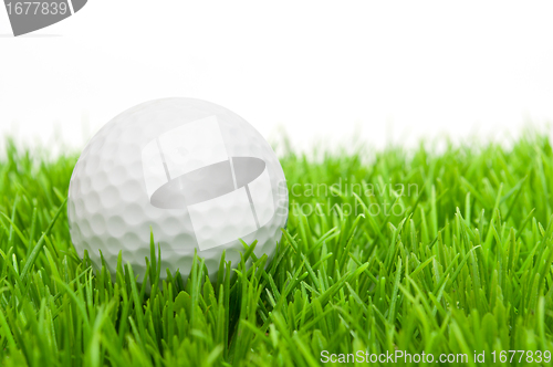 Image of Golf Ball in Grass