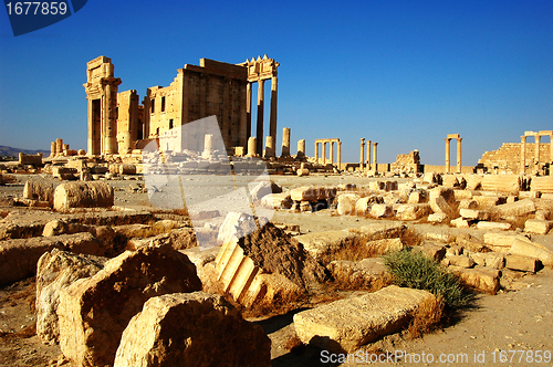 Image of Relics of Palmyra in Syria