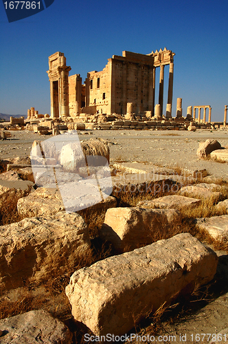 Image of Relics of Palmyra in Syria