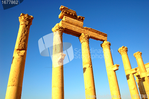 Image of Relics of Palmyra in Syria