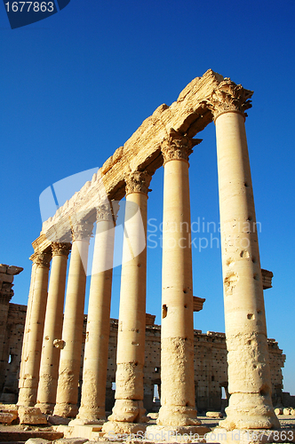 Image of Relics of Palmyra in Syria