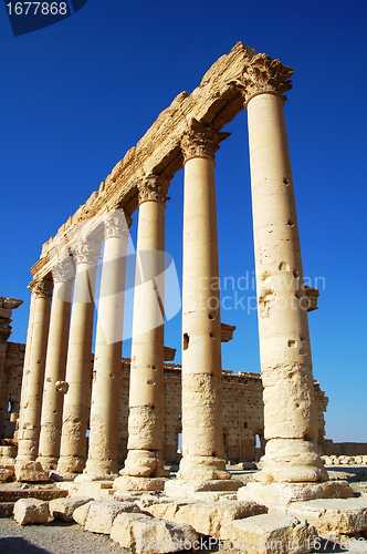 Image of Relics of Palmyra in Syria