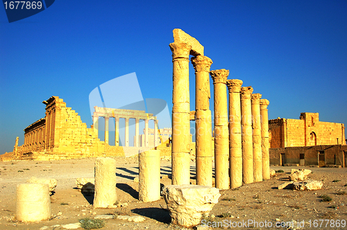 Image of Relics of Palmyra in Syria