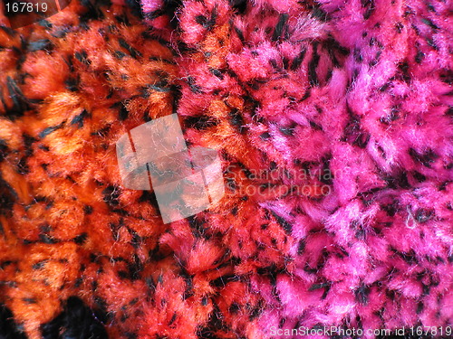 Image of Pink Orange Fur