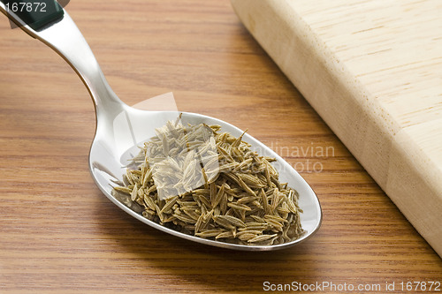 Image of Spoonful of cumin seeds