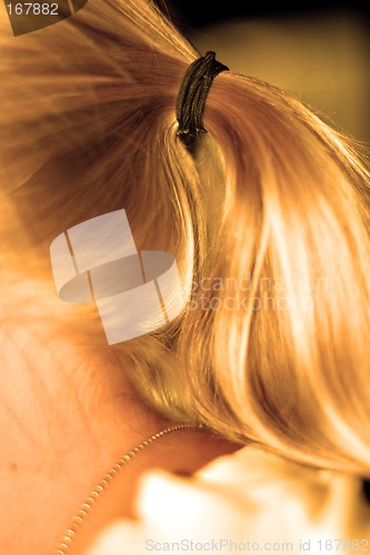 Image of blonde hair