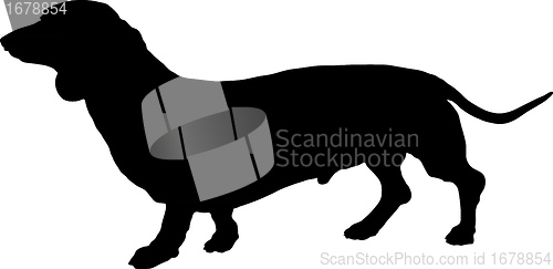 Image of Dachshund Silhouette