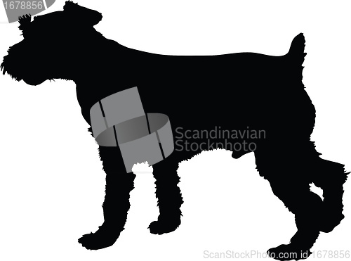 Image of Schnauzer Silhouette