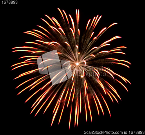 Image of Fireworks