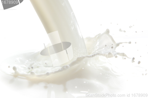 Image of milk splash