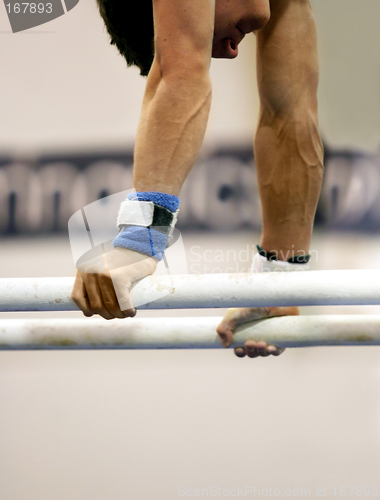 Image of Gymnast on parallel bars