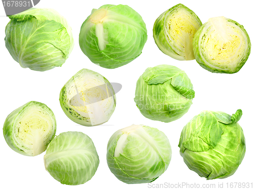 Image of Set of fresh green cabbage