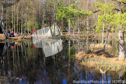 Image of Lavo in the forrest.