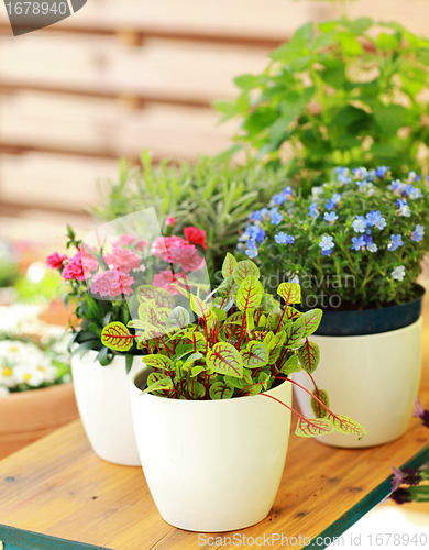 Image of Flower pots