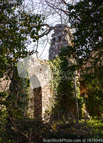 Image of Old ruined castle in woods