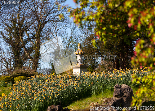 Image of Daffodils surround garden statue in rural setting