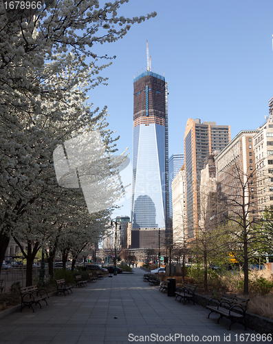 Image of Freedom Tower under construction New York