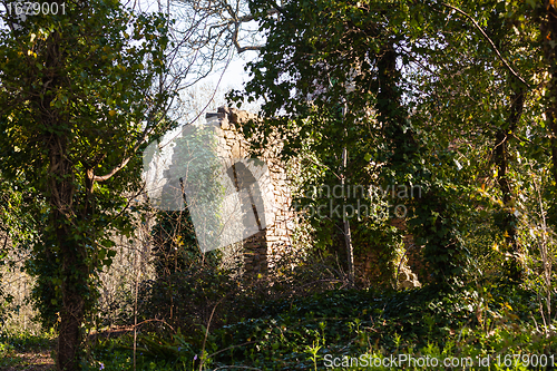 Image of Old ruined castle in woods