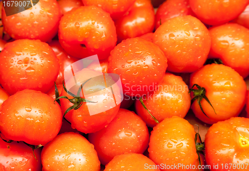 Image of Ripe tomatoes at market wet with rain