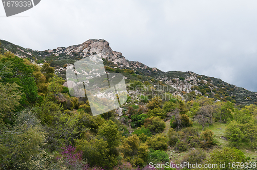 Image of Sequoia National Park