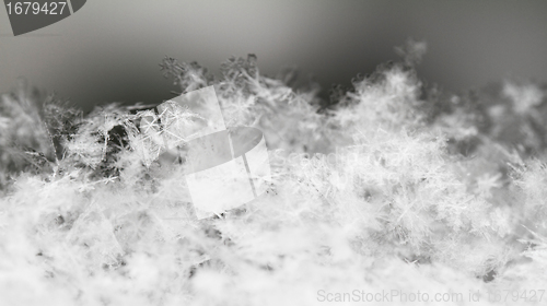 Image of Snowflake in white snow