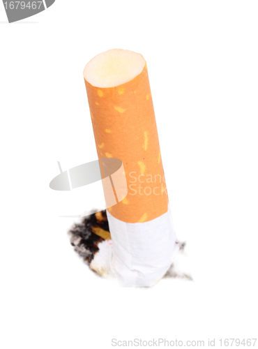 Image of Cigarette butt